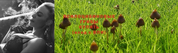 прущая мука Сатка