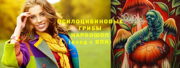 прущая мука Сатка