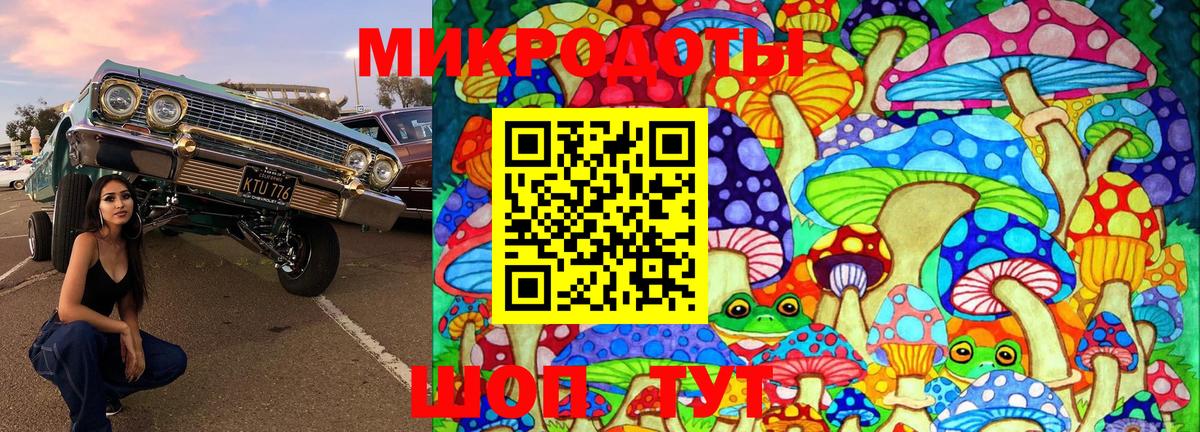 Псилоцибиновые грибы ЛСД Балтийск