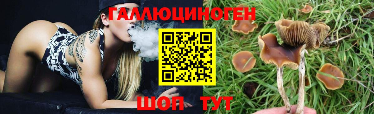 Балтийск  Псилоцибиновые грибы мухоморы  Вход с VPN 